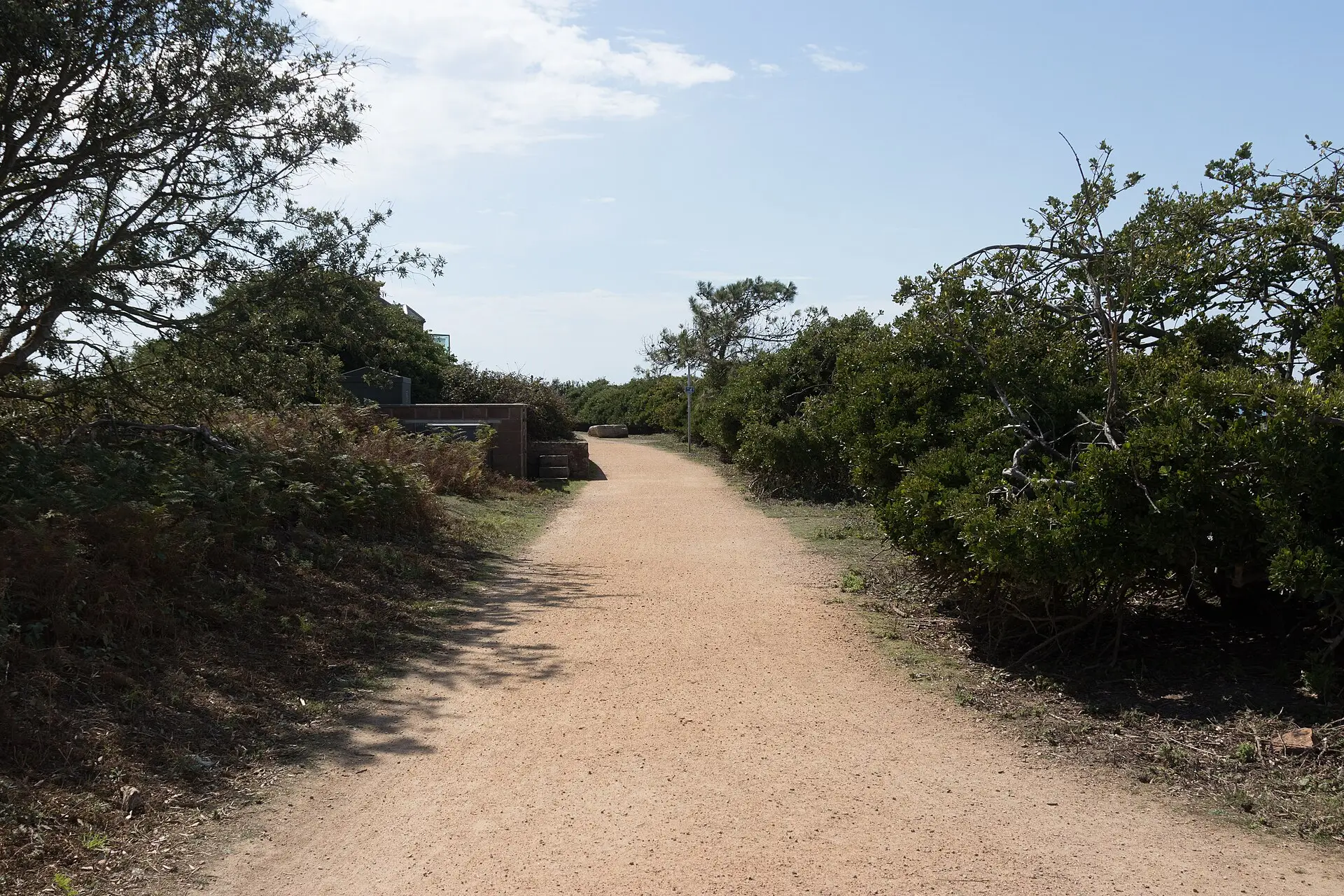 The wide gravel Railway Walk through heathland in St Brelade